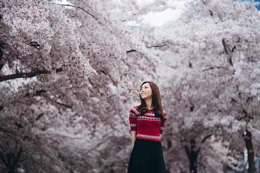 Asian young cheerful woman look up to the sky in a park with full cherry blossom.