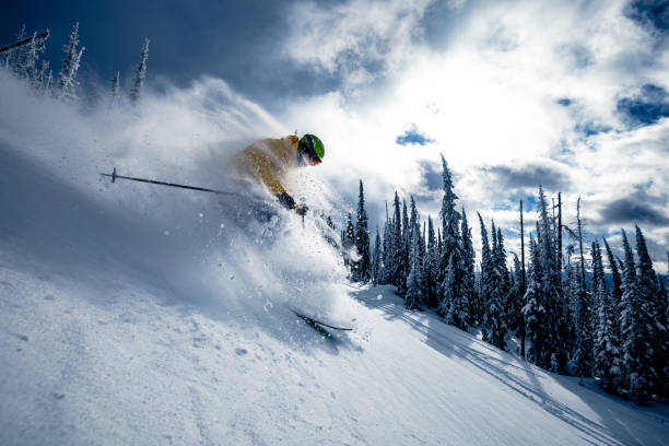 порошковые лыжи - skiing british columbia sports helmet tree стоковые фото и изображения