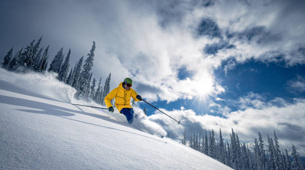 порошковые лыжи - skiing british columbia sports helmet tree стоковые фото и изображения