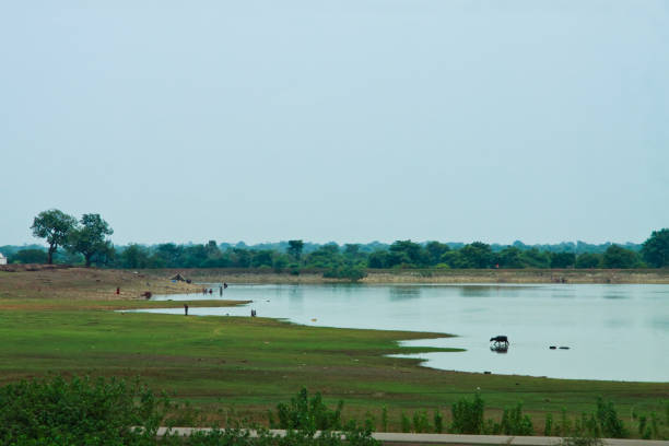 istock Countryside of West Bengal in India 1310527043