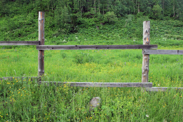 sunset and wooden fence along pasture in the ranch, nature, summer landscape in carpathian mountains, spruces on hills, beautiful cloudy sky