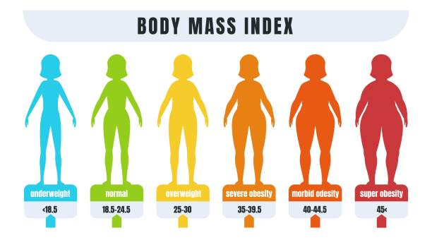 имт женщины. инфографика индекса массы тела для людей с ожирением и нормальным весом. диаграмма для диагностики ожирения или недостаточног - emaciated weight scale dieting overweight stock illustrations