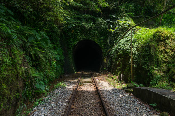 istock Small tunnel with rails hidden in the greeny mountain 1310538829