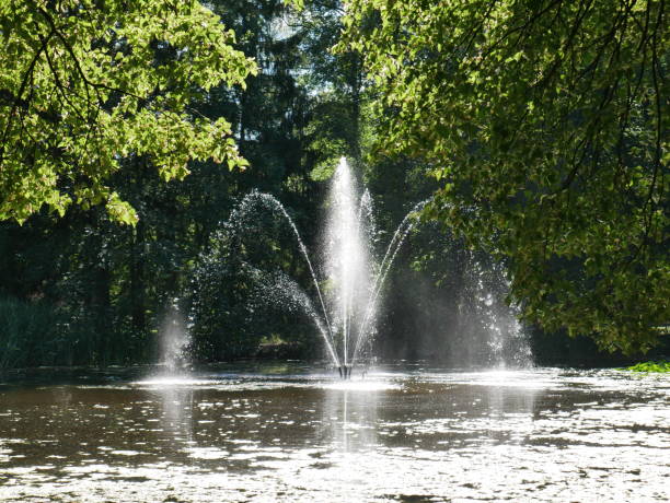 istock Fountain in a pond in a public park framed by trees. In bright sunlight. 1310539692
