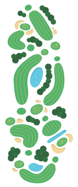 illustrations, cliparts, dessins animés et icônes de illustrations de nombreux terrains de golf. terrains de golf de différentes formes. - water hazard illustrations