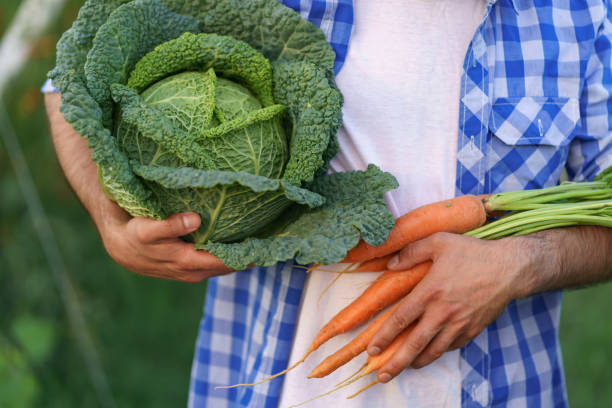 istock Farmer with vegetables. Autumn harvest. 1310546669