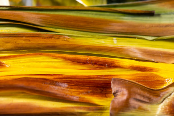 Closeup of roasted celery. Macro texture background. Healthy food background.