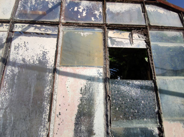 istock old abandoned greenhouse broken windows 1310550377