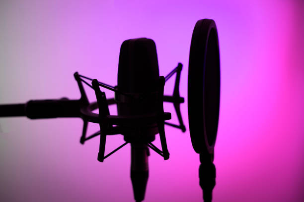 istock Voiceover studio large diaphragm cardioid microphone in professional voice recording studios. 1310551207