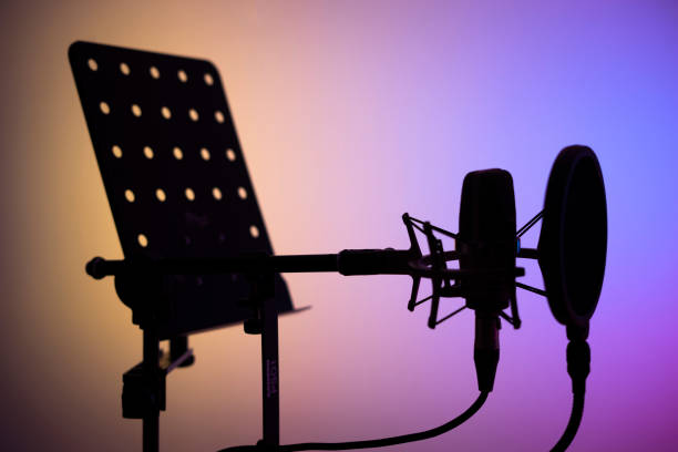 istock Voiceover studio large diaphragm cardioid microphone in professional voice recording studios. 1310551208