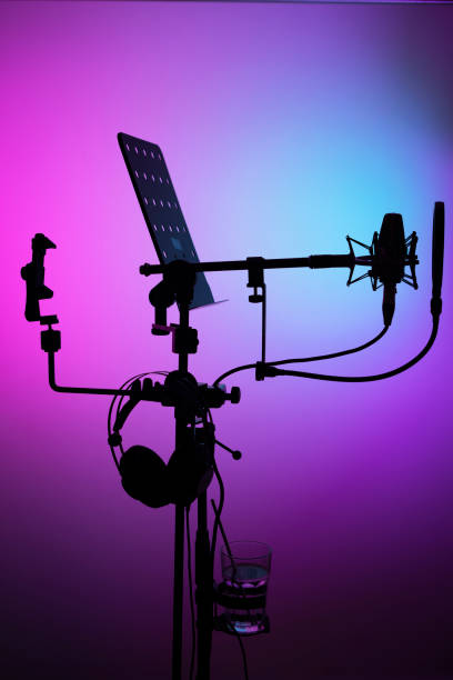 istock Voiceover studio large diaphragm cardioid microphone in professional voice recording studios. 1310551212
