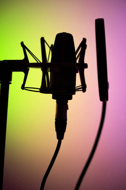 istock Voiceover studio large diaphragm cardioid microphone in professional voice recording studios. 1310551217
