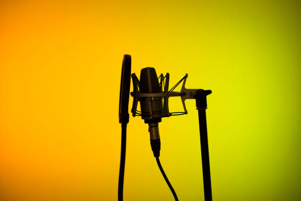 istock Voiceover studio large diaphragm cardioid microphone in professional voice recording studios. 1310551226