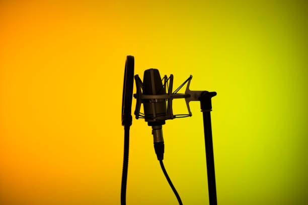 голос за кадром студии большой диафрагмы кардиоидный микрофон в профессиональных студиях звукозаписи голоса. - voice over стоковые фото и изображения