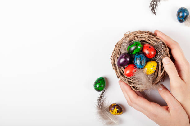 istock colorful easter eggs in nest with women hands on white background. top view. easter concept. copy space 1310551326