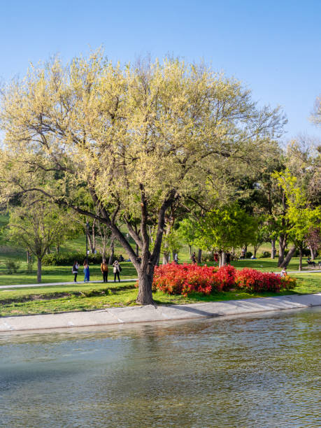 istock Madrid Enrique Tierno Galvan park. 1310552412