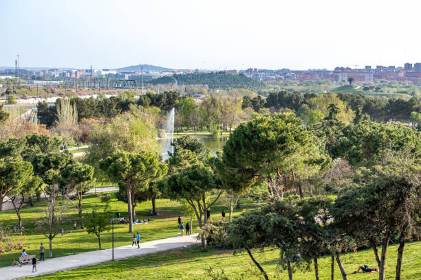 istock Madrid Enrique Tierno Galvan park. 1310553061