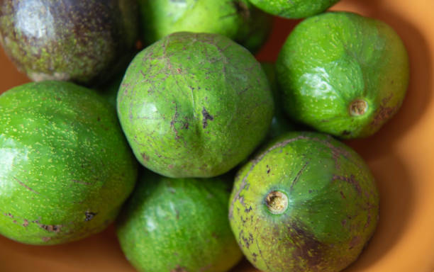istock Fresh avocado fruits ready for consumption. Avocado 1310554425