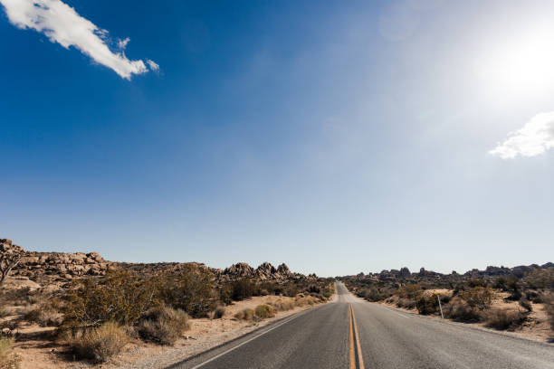 Different angels of empty roads in Southern California’s Joshua tree National park, USA.