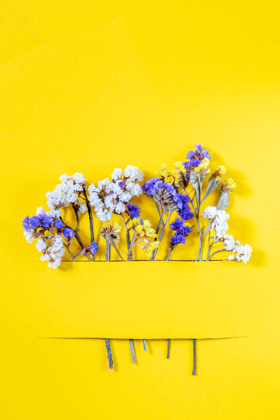 paper card with mockup copy space and dry flower with sunlight shadow on yellow background. Minimal business brand template. Flat lay, top view