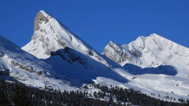 istock Snow covered mountains Fruemsel and Selun. Churfirsten Range, view from Iltois. 1310559641