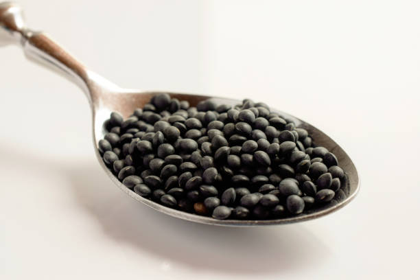 close uo of black beluga lentils on a spoon. - lentil full frame macro close up imagens e fotografias de stock