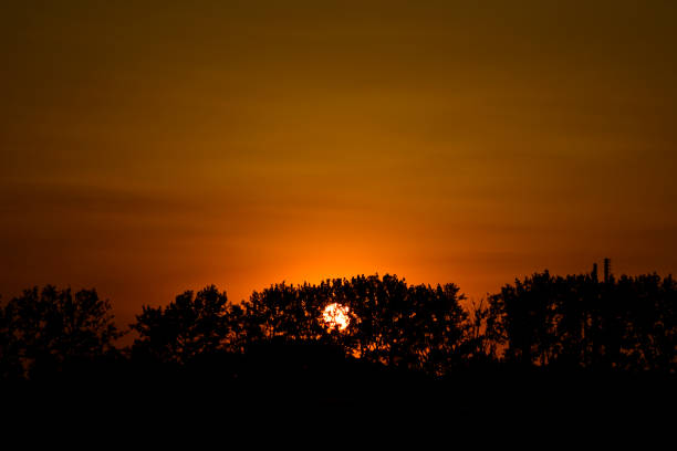 Free Stock Photo of Sunset over trees | Download Free Images and Free ...