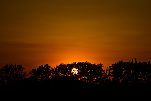 Sunset over trees with copy space