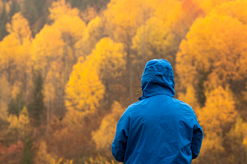 A man wearing a blue color raincoat and his back to the camera. He is in the forest of plants and trees. The session is autumn so, leaves of plants are yellow.