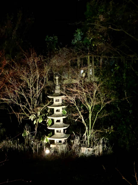Image of tall, illuminated Japanese stone pagoda in oriental garden border with maples and bamboo, night time view Stock photo showing an oriental garden border with maples,  bamboo and Japanese stone pagoda illuminated at night. garden feature stock pictures, royalty-free photos & images
