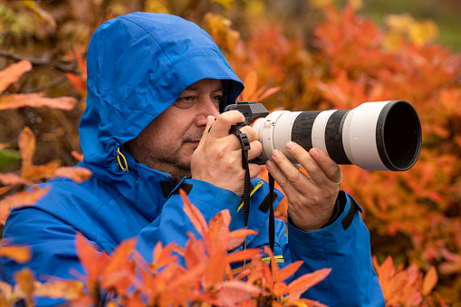 A photographer holds his camera and taking photo. He is in the forest of plants and trees. He wears a blue jacket. His camera is white-black patterned. The session is autumn so, leaves of plants are yellow.