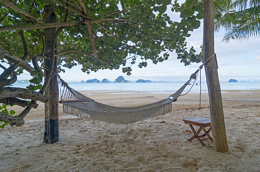 A rope hammock in the shade of trees on a tropical beach. Early morning. Krabi Province, Thailand