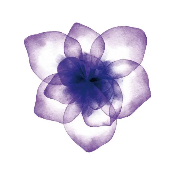 Vector illustration of Watercolor Purple Flower