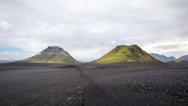 istock Winged black ash from two mountains in Landmannalaugar, Iceland
