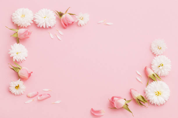 istock pink and white flowers on pink paper background 1310583830