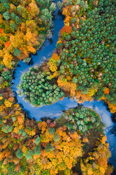 istock Autumn forest and blue river. Aerial view of wildlife, Poland 1310586708