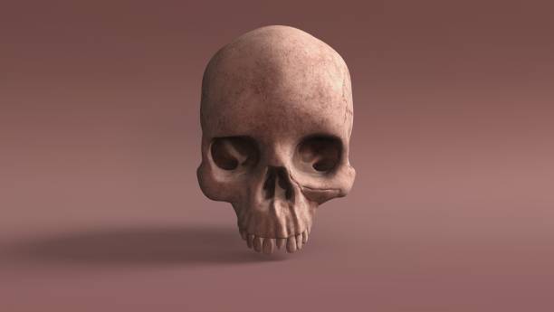 istock Human skull on contrasty brown background. Scary and horror based image . There is space for your copy. 1310586822
