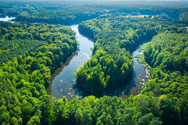 Curvy river between forests. Aerial view of wildlife in Poland Curvy river between forests. Aerial view of wildlife in Poland. Spring nature in Poland bory tucholskie stock pictures, royalty-free photos & images