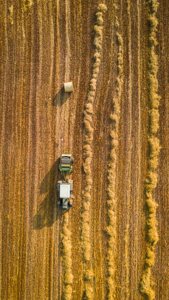 Tractor pressing hay. Agriculture in Poland. Harvest in summer Top view of tractor pressing hay. Agriculture in Poland. Harvest in summer hay baler stock pictures, royalty-free photos & images