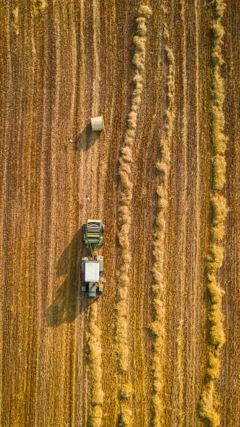 Top view of tractor pressing hay. Agriculture in Poland. Harvest in summer