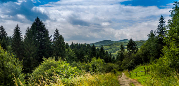 istock a rural road in the Carpathian 1310592088