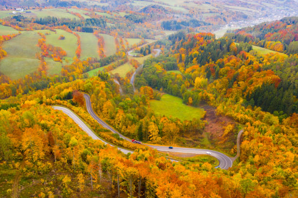 istock Autumn hilly landscape with winding road 1310592118