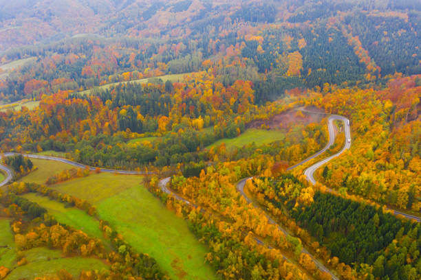 istock Autumn hilly landscape with winding road 1310592120