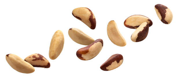 istock Brazil nuts isolated on white background with clipping path 1310594802