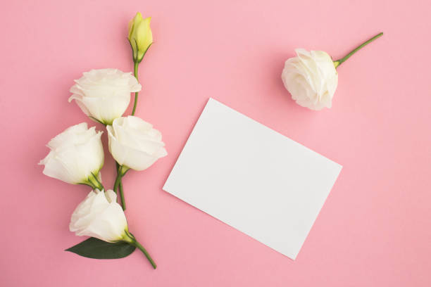 istock Empty white paper for text and beautiful white flowers on the pink background 1310596235
