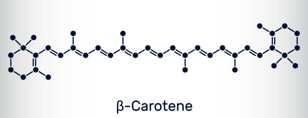 ilustrações de stock, clip art, desenhos animados e ícones de beta carotene, provitamin a, is an organic red-orange pigment in plants and fruits. skeletal chemical formula. - carotene