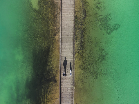 Aerial view on man and his dog on the wooden path by the beautiful green lake.