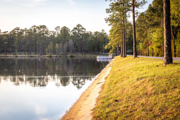 Dam on Lake in Georgia State Park