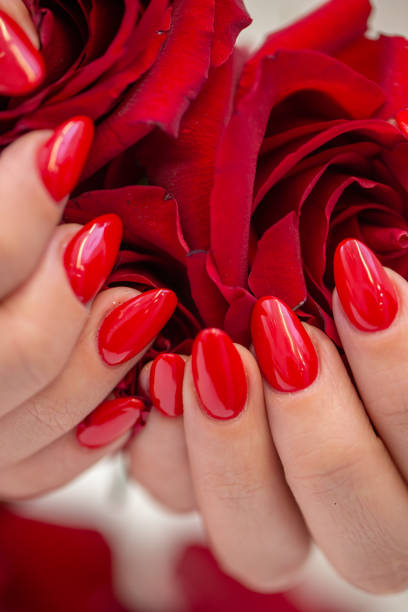 istock Long pink nails holding red rose buds 1310599595