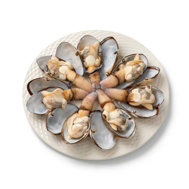 плита с приготовленными мягкими моллюсками оболочки в открытой оболочке на белом фоне - моллюск песчаная мия стоковые фото и изображения